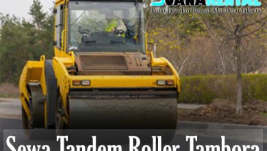 Sewa Tandem Roller Tambora
