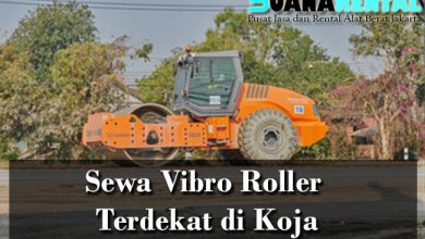 Sewa Vibro Roller Koja