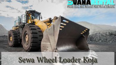Sewa Wheel Loader Koja