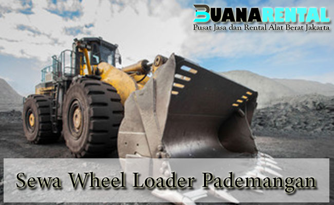 Sewa Wheel Loader Pademangan